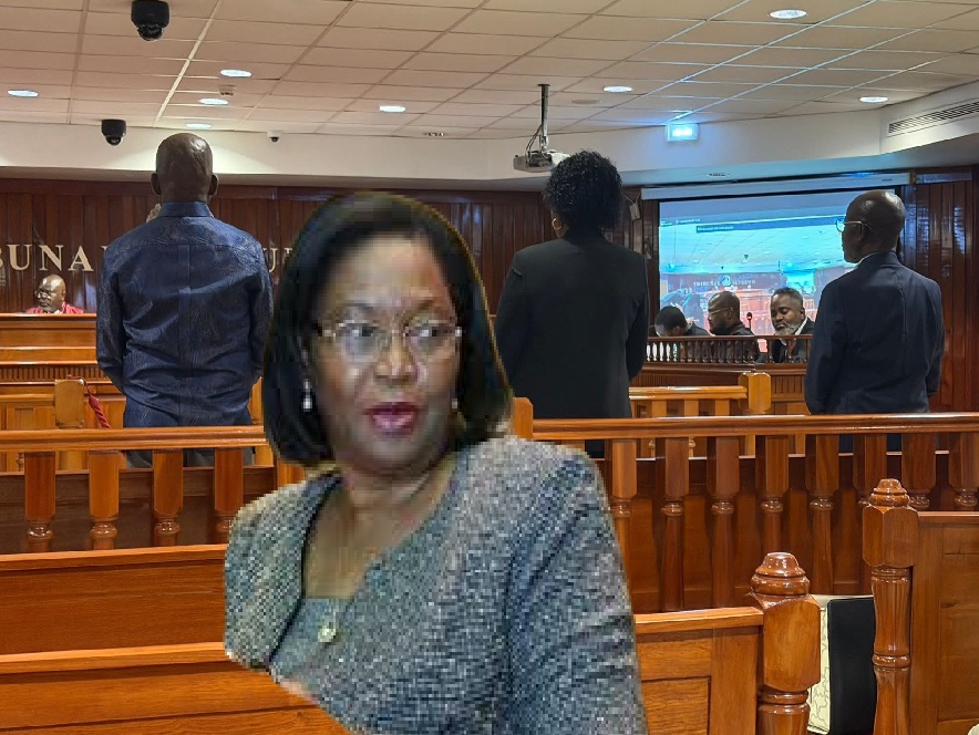 CASO ROUBO DE 300 MILHÕES: SUPREMO EXAMINA RESPONSABILIDADES CRIMINAIS DE “ORDENS DA SAQUE” DA EX-MINISTRA DAS PESCAS